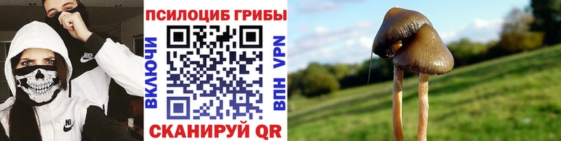 Галлюциногенные грибы GOLDEN TEACHER  Харабали 